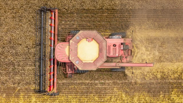 Aerial shot of combine harvester working in a wheat field during summer in Pinetops, NC.