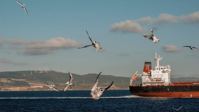 Seagulls flying near a cargo ship in Dardanelles Strait, Çanakkale, Turkey.