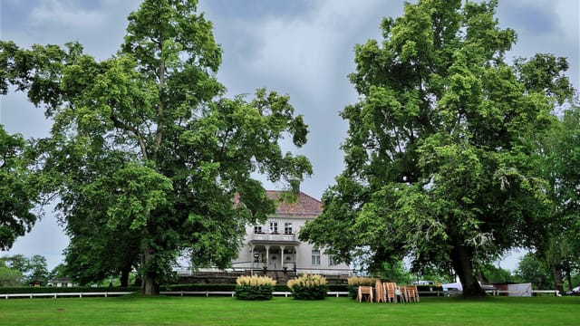 A picturesque country house amidst expansive lawns and towering trees under a cloudy sky.