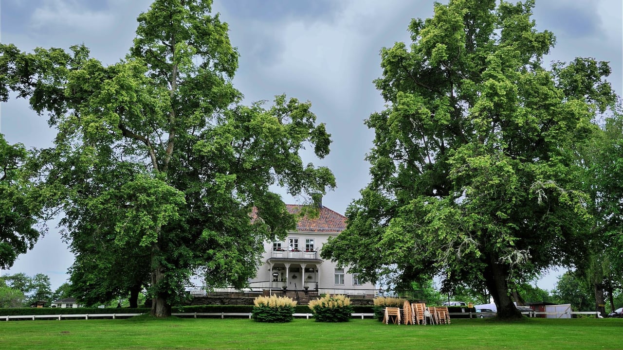 A picturesque country house amidst expansive lawns and towering trees under a cloudy sky.