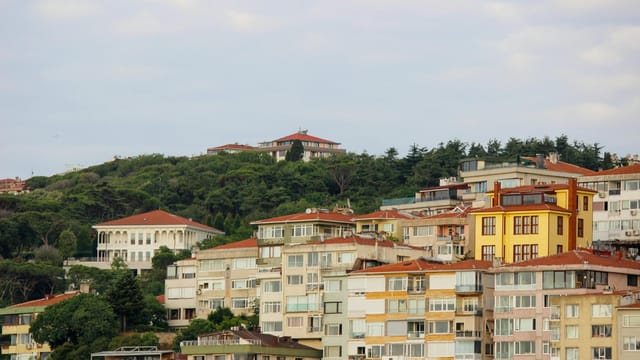 Charming hillside view of residential buildings and lush greenery in an urban setting.