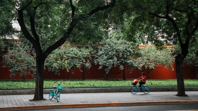 A peaceful urban street scene featuring a bicyclist and vibrant trees in Beijing, China.