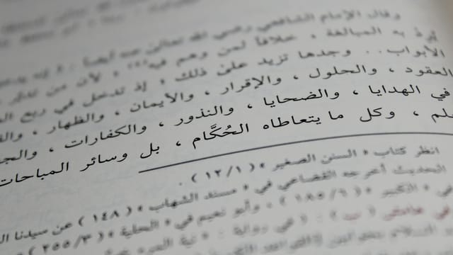 Close-up view of Arabic script on a book page, showcasing detailed calligraphy and text arrangement.