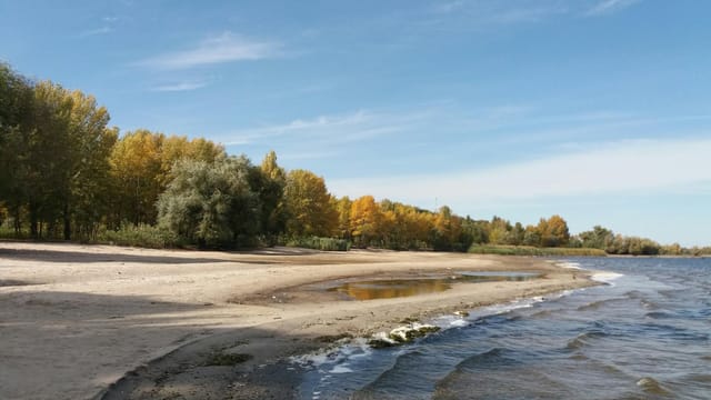 Peaceful autumn scene of a sandy beach with colorful trees by the water in Cherkasy, Ukraine.