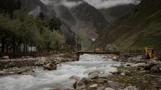 A tranquil scene of a person leading a horse over a wooden bridge in Kashmir's lush, mountainous landscape.
