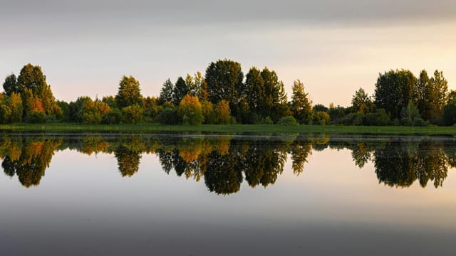 Serene reflection of trees in a calm lake during a peaceful sunset in Russia.