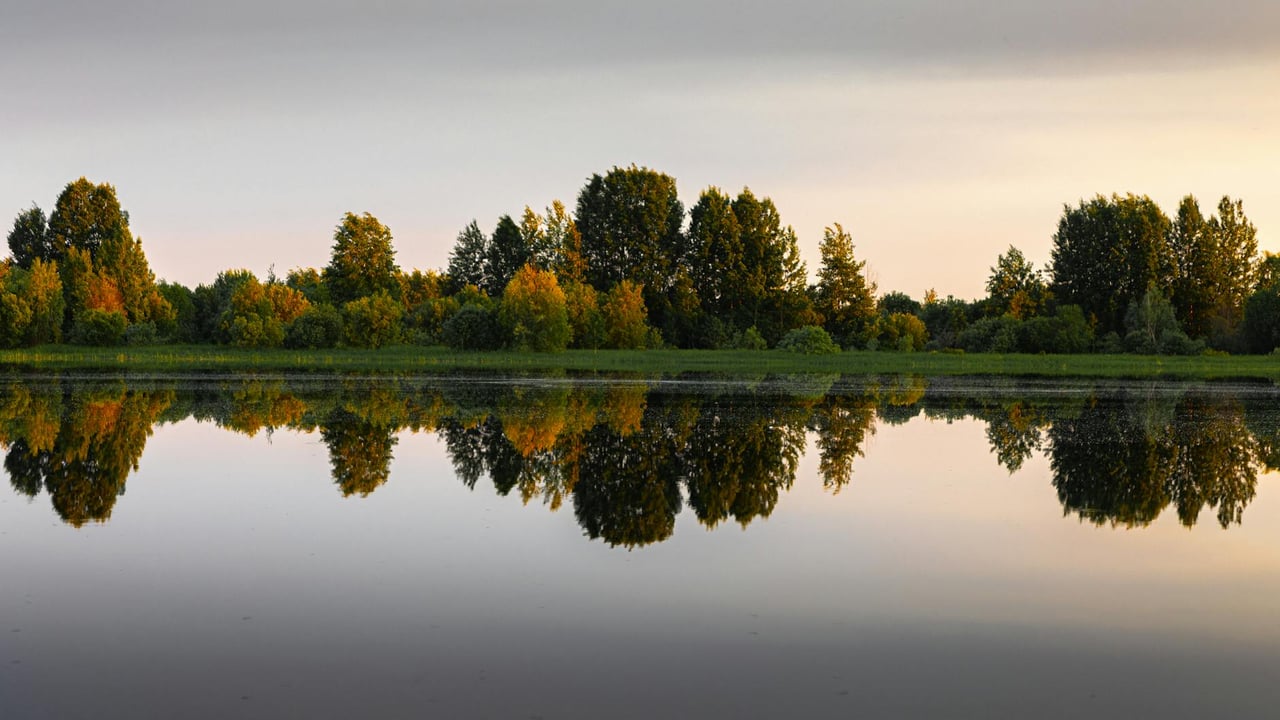 Serene reflection of trees in a calm lake during a peaceful sunset in Russia.