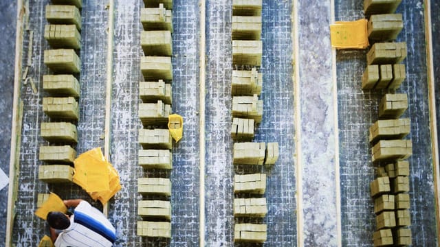 Aerial shot of a worker in a soap factory organizing bars of soap on production lines.