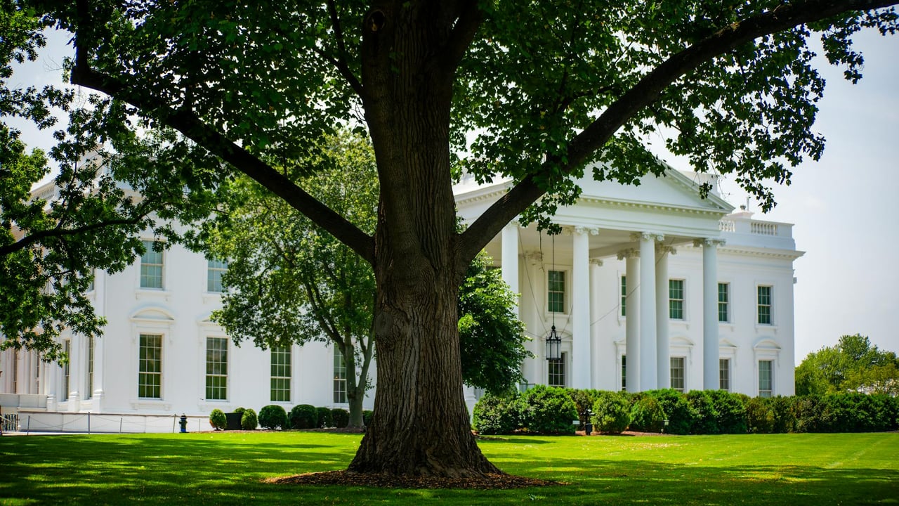 A view of the White House with lush greenery on a summer day, featuring a prominent tree.