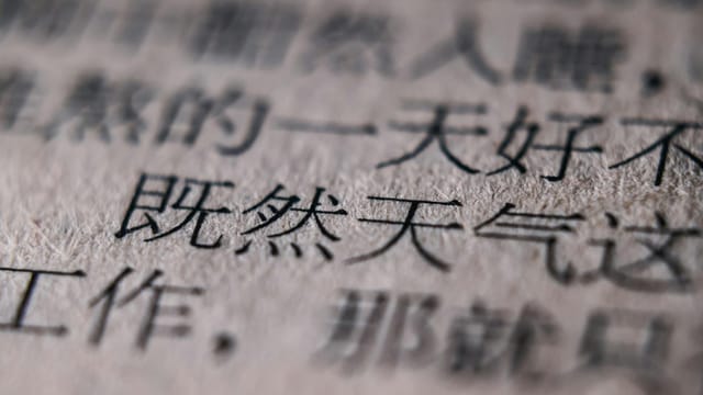 Close-up shot of Chinese text, emphasizing texture and detail with blurred background.