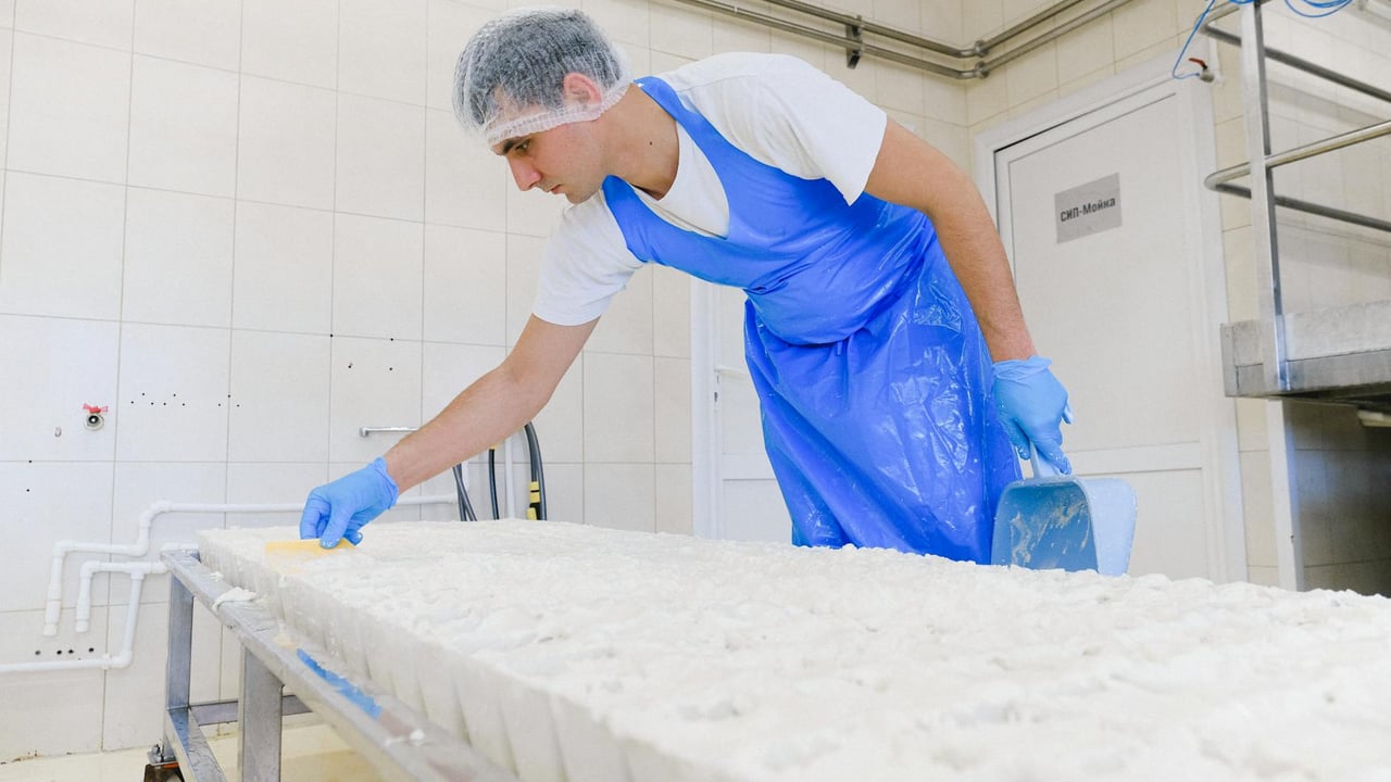 A cheese factory worker in protective gear managing cheese production in a hygienic environment.
