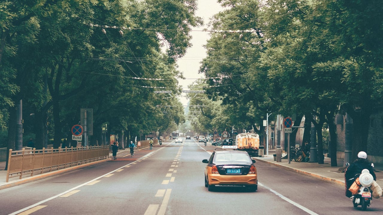 Scenic tree-lined street in Beijing, China, with cars and scooters under a tranquil sky.