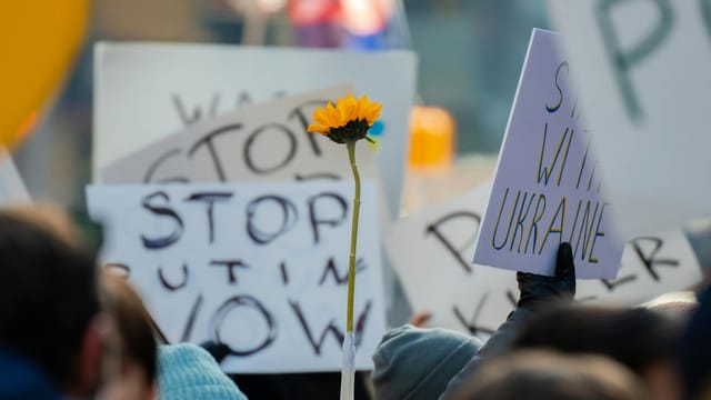 Demonstrators with signs and a sunflower at a New York protest rally.