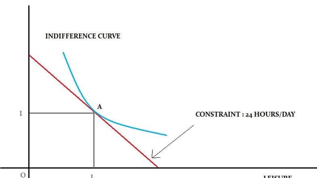 Income Leisure Preference in a Robinson Crusoe Economy