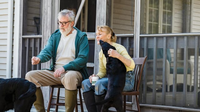A senior couple enjoys a moment with their dogs on the porch, expressing joy and companionship.