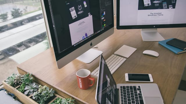Sleek office desk setup featuring Apple computers and greenery for a modern work environment.
