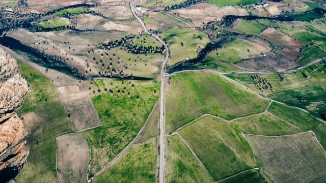 Stunning aerial view of expansive green fields and winding countryside road under a clear sky.