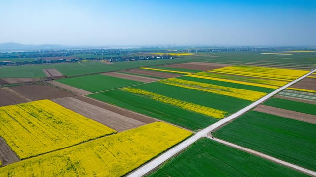 Stunning aerial capture of colorful fields and rural landscape in Jiujiang, China.