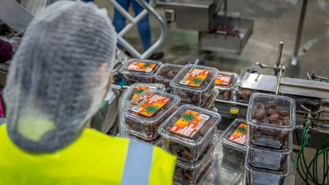 Worker managing date packaging in a modern industrial facility, ensuring quality control.