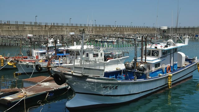Fishing vessels docked at a harbor in South Korea under clear blue skies.