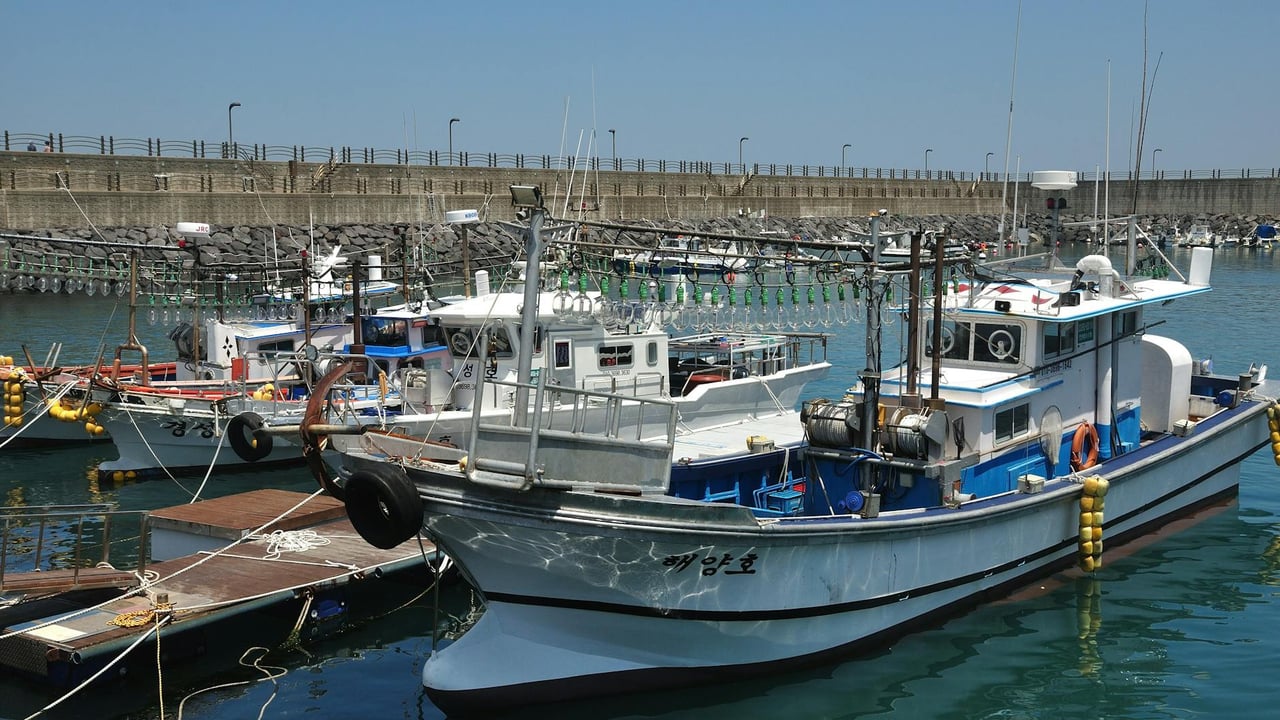 Fishing vessels docked at a harbor in South Korea under clear blue skies.