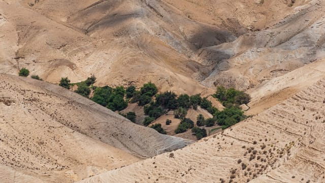 A stunning aerial shot of Israel's arid desert terrain with patches of greenery.