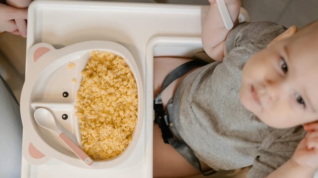 A baby sitting in a high chair with a plate of scrambled eggs, ready to eat.