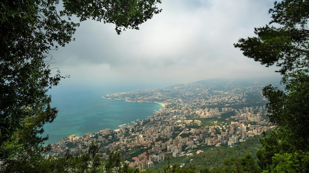 Breathtaking aerial view of Harissa, Lebanon's coastline, framed by lush greenery on a hazy day.