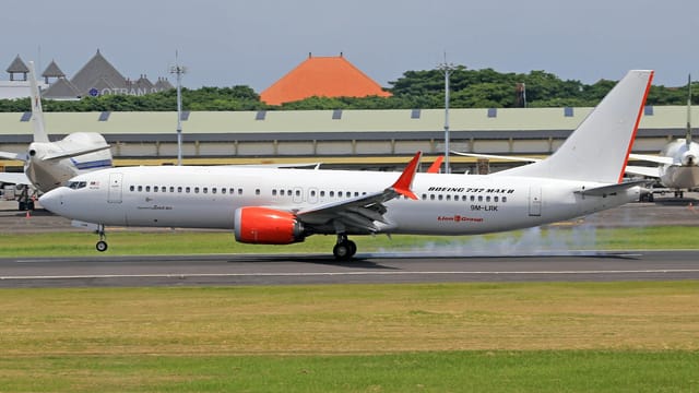 Boeing 737 MAX 8 jet making a landing with visible touchdown smoke.