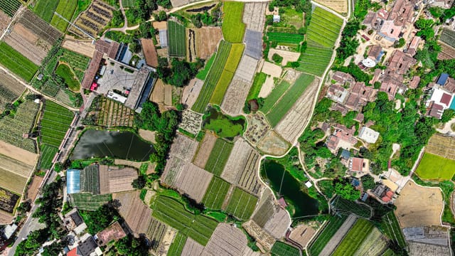 Colorful aerial view of diverse farmland and rural village layout.