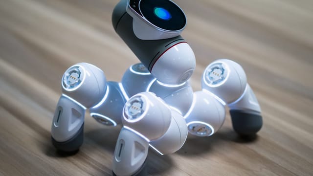 Close-up of an advanced robotic pet dog demonstrating modern technology.