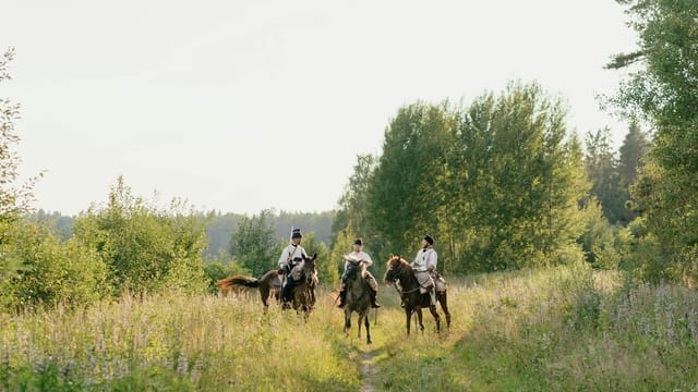 Vintage cavalry riders in uniforms riding horses through a green meadow.