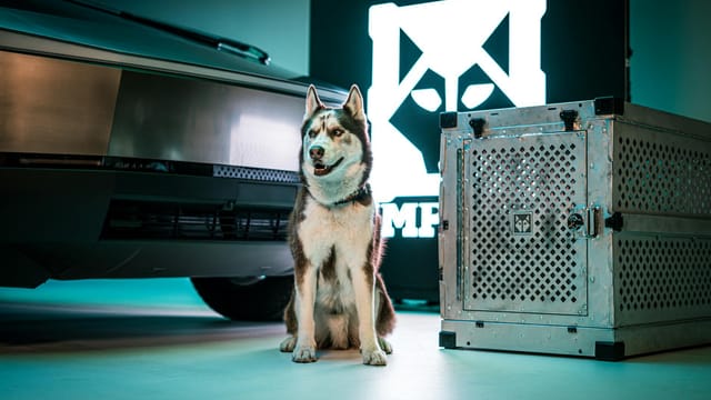 A Siberian husky beside a sleek vehicle and a premium dog crate indoors.