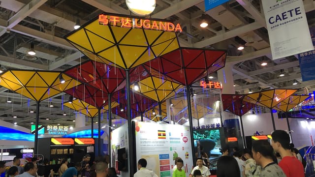 The First China-Africa Economic and Trade Expo, Changsha, Hunan, China, 29 June 2019l