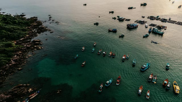 Aerial view of colorful fishing boats on the serene coastline of Vietnam.