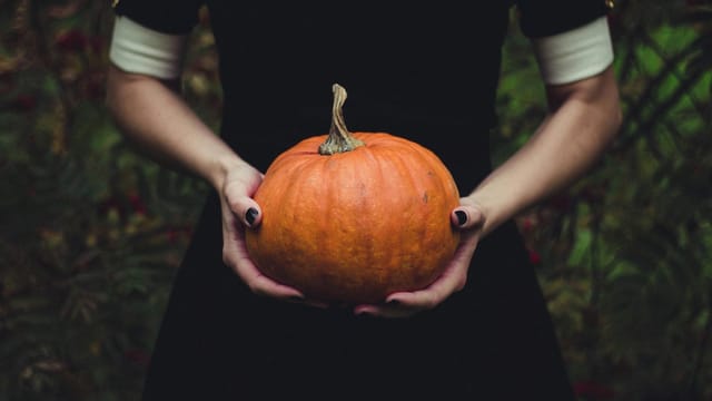 Person holding a bright orange pumpkin against outdoor foliage, perfect for Halloween themes.