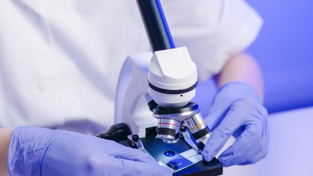 Scientist wearing gloves preparing a slide on a laboratory microscope for research analysis.