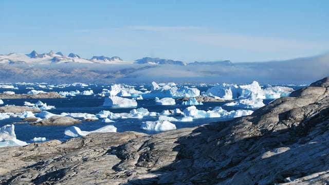 Breathtaking view of icebergs in Tiniteqilaaq, Greenland's fjord, under a clear blue sky.