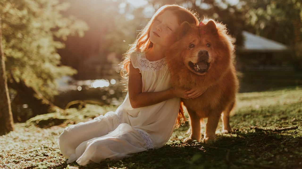 A young girl in a white dress hugging a fluffy dog during a bright summer day in the park.