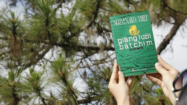 Hands holding a book against pine tree background, suggesting relaxation and nature reading.