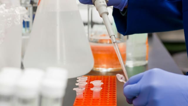 Close-up of a scientist using pipette in laboratory with test tubes.