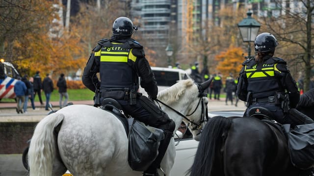 Image for China's Fifth Batch of Peacekeeping Helicopter Unit in Abyei Passes Fourth Quarter Equipment Inspection with High Standards