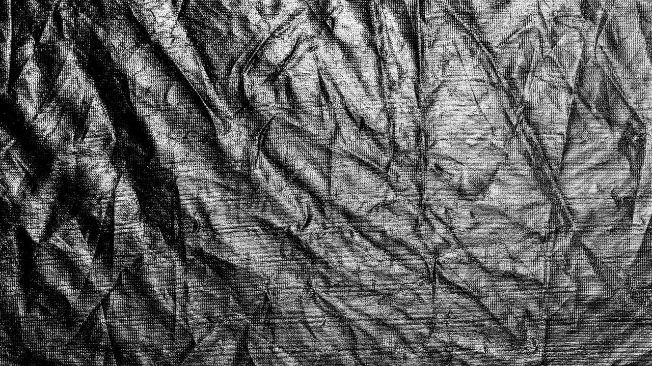 Black and white close-up of a textured, wrinkled surface with high contrast.