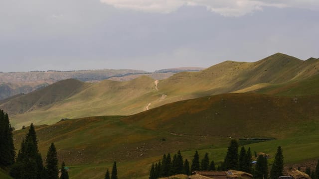 Beautiful rolling hills and sparse trees under a cloudy sky in Xinjiang's serene landscape.