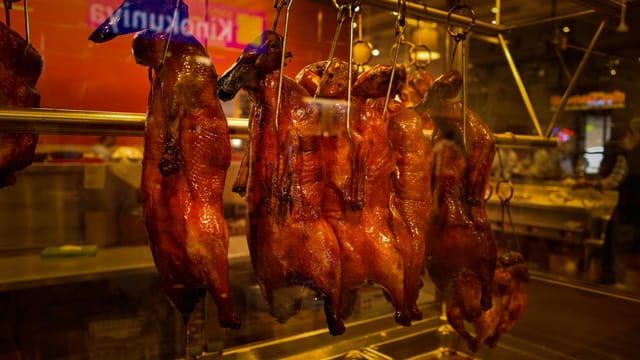 Succulent roasted ducks hanging on display in a Seattle butcher shop window, showcasing culinary craftsmanship.