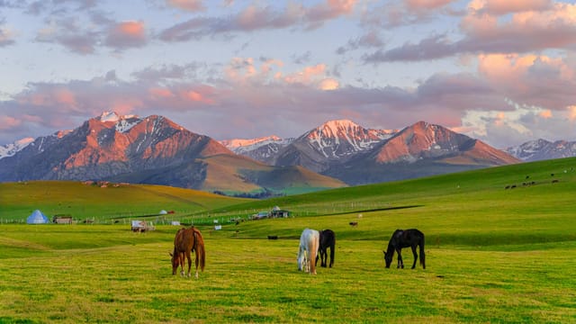 Scenic view of horses grazing in Xinjiang's picturesque grasslands at sunset with mountains in the background.