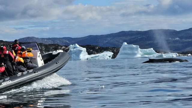 Free stock photo of greenland, iceberg, safari