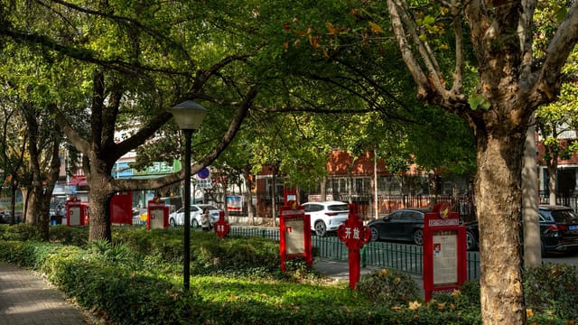Scenic view of a tree-lined park path with red signs in Luoyang, China.