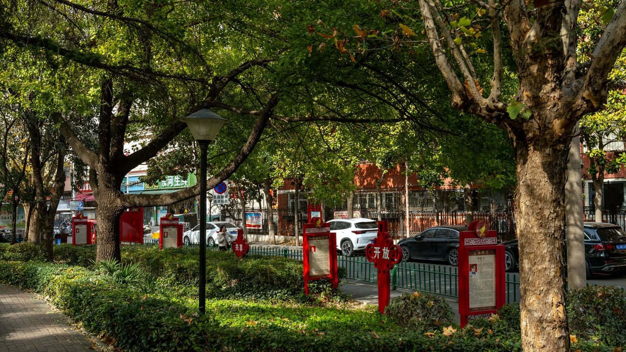 Scenic view of a tree-lined park path with red signs in Luoyang, China.