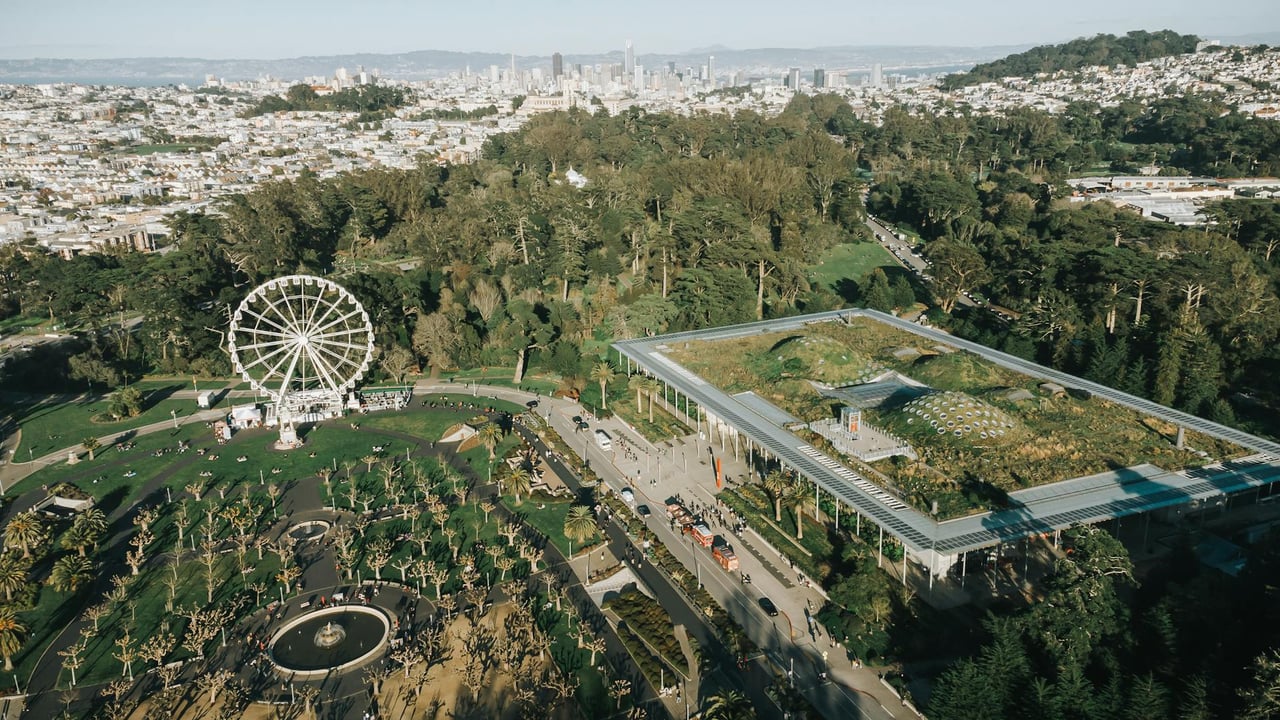 Breathtaking aerial view of Golden Gate Park featuring a Ferris wheel and lush greenery in San Francisco.